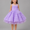 Everly Princess Dress