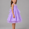 Everly Princess Dress